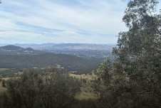 South-West Slopes NSW