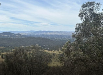 South-West Slopes NSW
